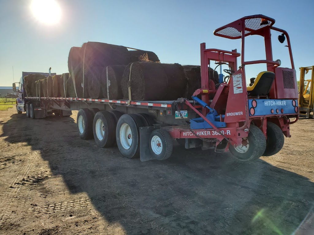 Bueckert Sod Farm | 13100 Road 19 West, Winkler, MB R6P 0A8, Canada | Phone: (204) 325-0747