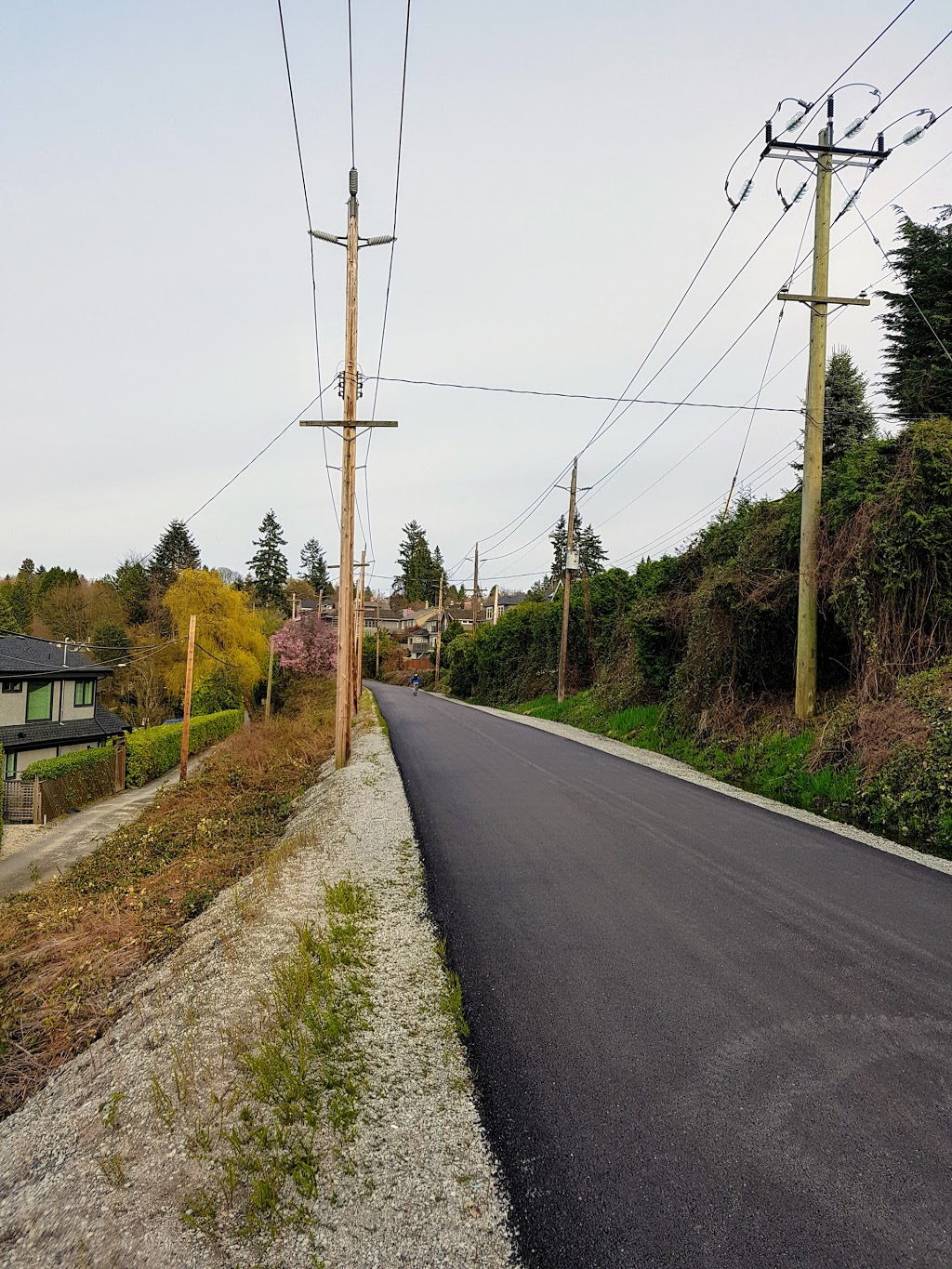 Ravine Park | 2159 W 36th Ave, Vancouver, BC V6M 1J2, Canada | Phone: (604) 257-8400