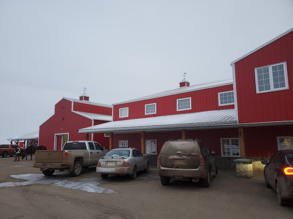Westana Equine Rehabilitation & Conditioning Centre | Range Rd 211, Redwater, AB T0A 2W0, Canada | Phone: (780) 736-3537
