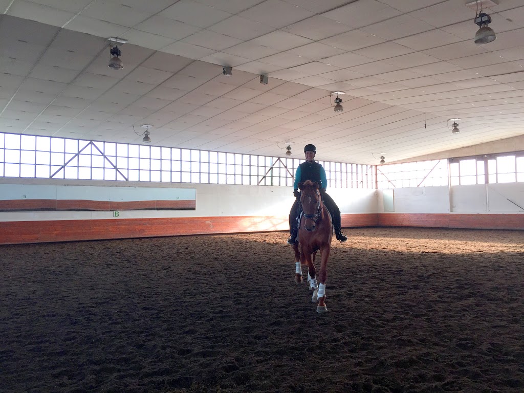 Pacific Banner Riding Club | 12400 No 3 Rd, Richmond, BC V7A 1X5, Canada | Phone: (604) 763-8869