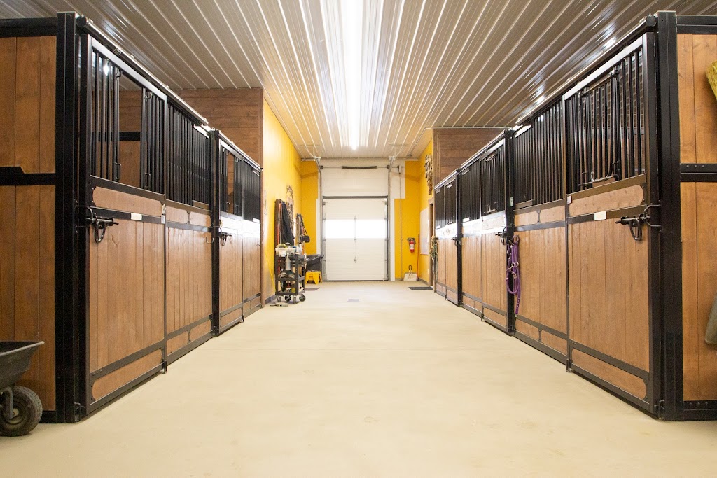 The Horse Palace | 6221 Ha Ha Creek Rd, Wardner, BC V0B 2J0, Canada | Phone: (250) 464-0606