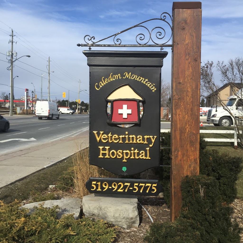 Caledon Mountain Veterinary Hospital | 29 Elizabeth St, Caledon Village, ON L7K 0W7, Canada | Phone: (519) 927-5775