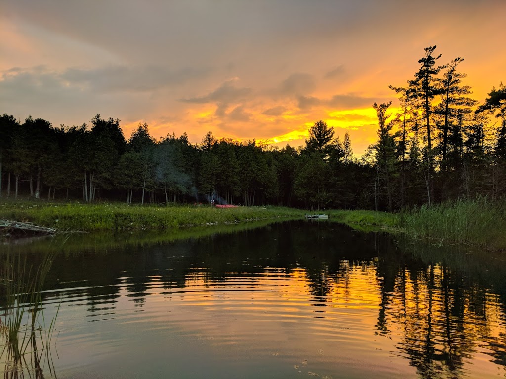 Freija | 175265 Concession Rd 6, Desboro, ON N0H 1K0, Canada | Phone: (519) 270-2150