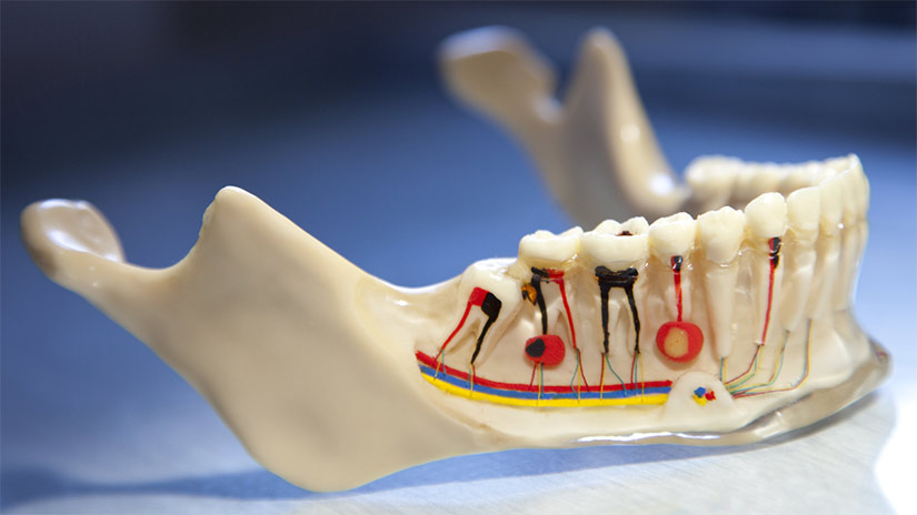 Smiles Dentistry | 1648 Bloor St W #1, Toronto, ON M6P 1A7, Canada | Phone: (416) 588-8004