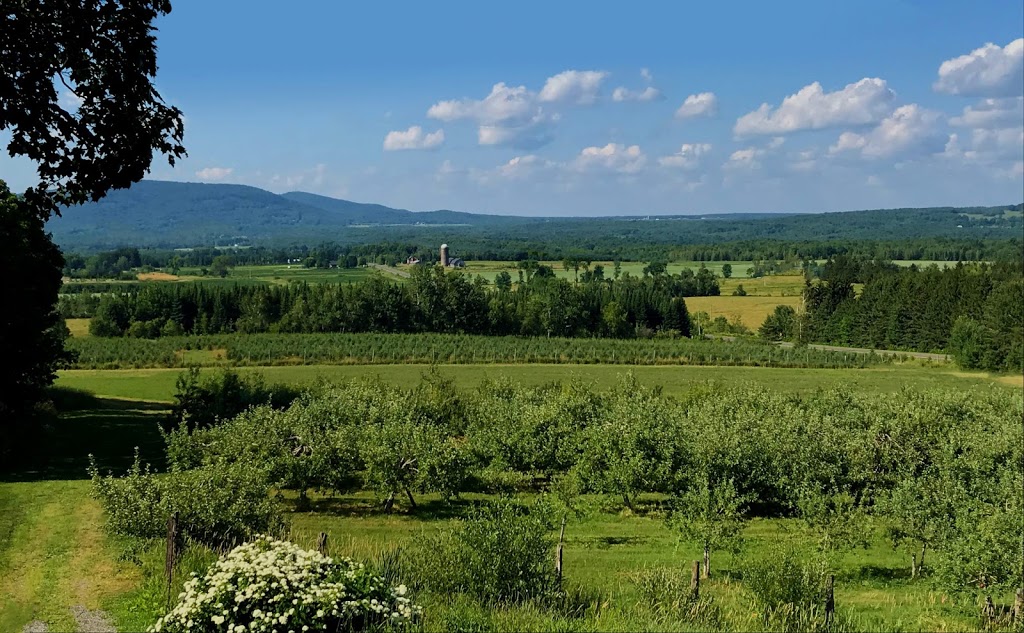 Verger Les Champs Vallons | 331 Chemin Brome, Fulford, QC J0E 1S0, Canada | Phone: (514) 916-4165