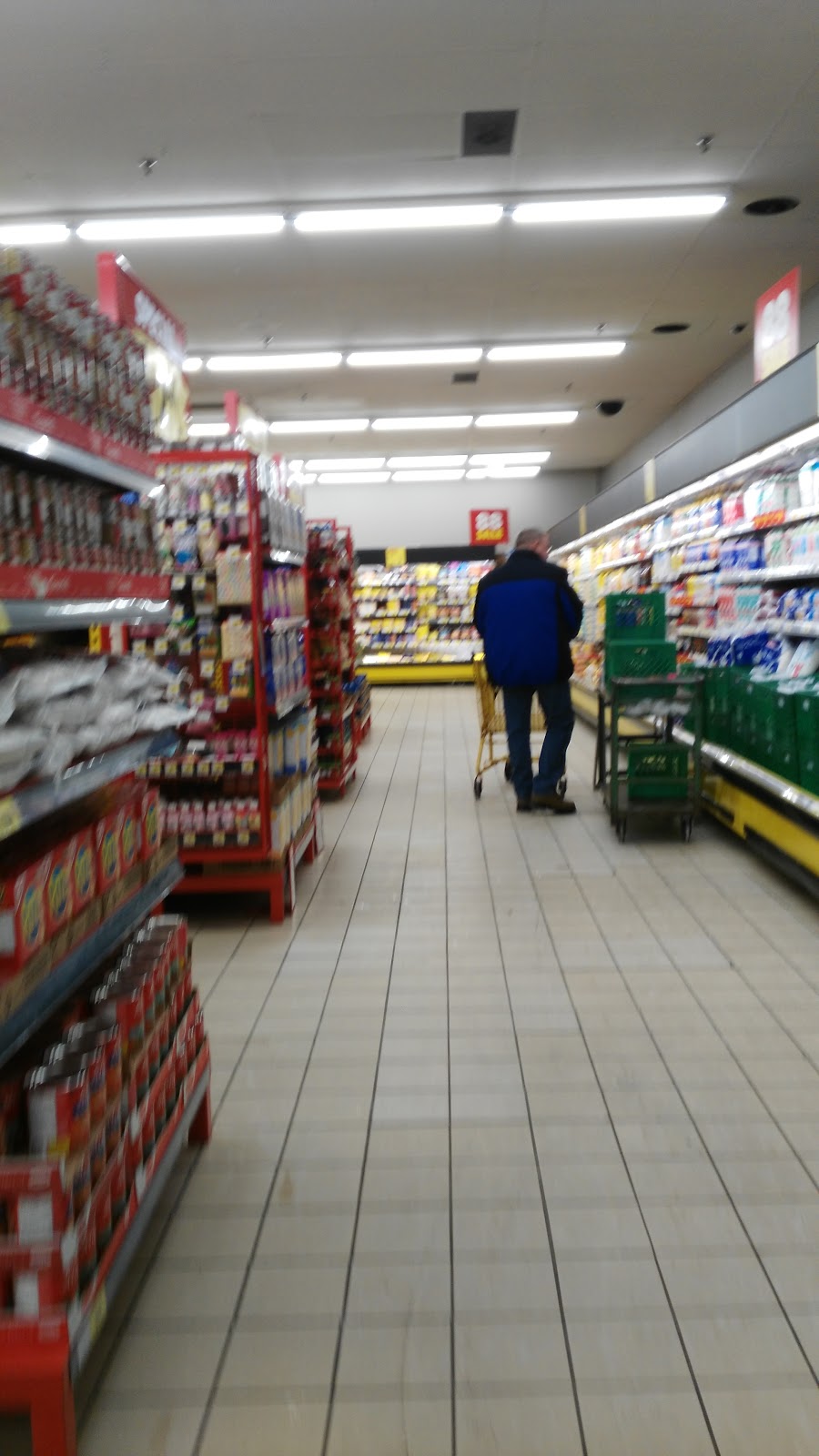 Steves No Frills | 20895 Dalton Rd, Sutton, ON L0E 1R0, Canada | Phone: (866) 987-6453