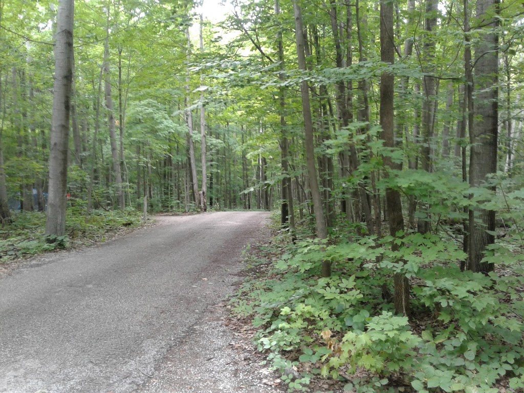 Awenda Provincial Park | Tiny, ON L9M 1R2, Canada