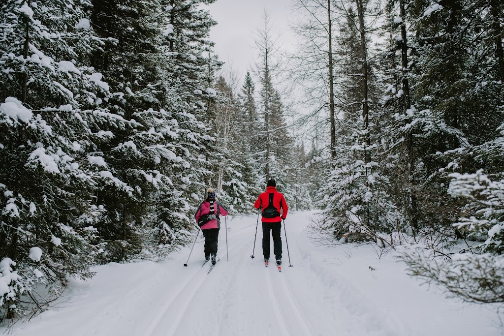 Club De Ski De Fond De Thetford | P. 761, 1 Rue du Golf C, Thetford Mines, QC G6G 5V1, Canada | Phone: (418) 335-2931 ext. 2