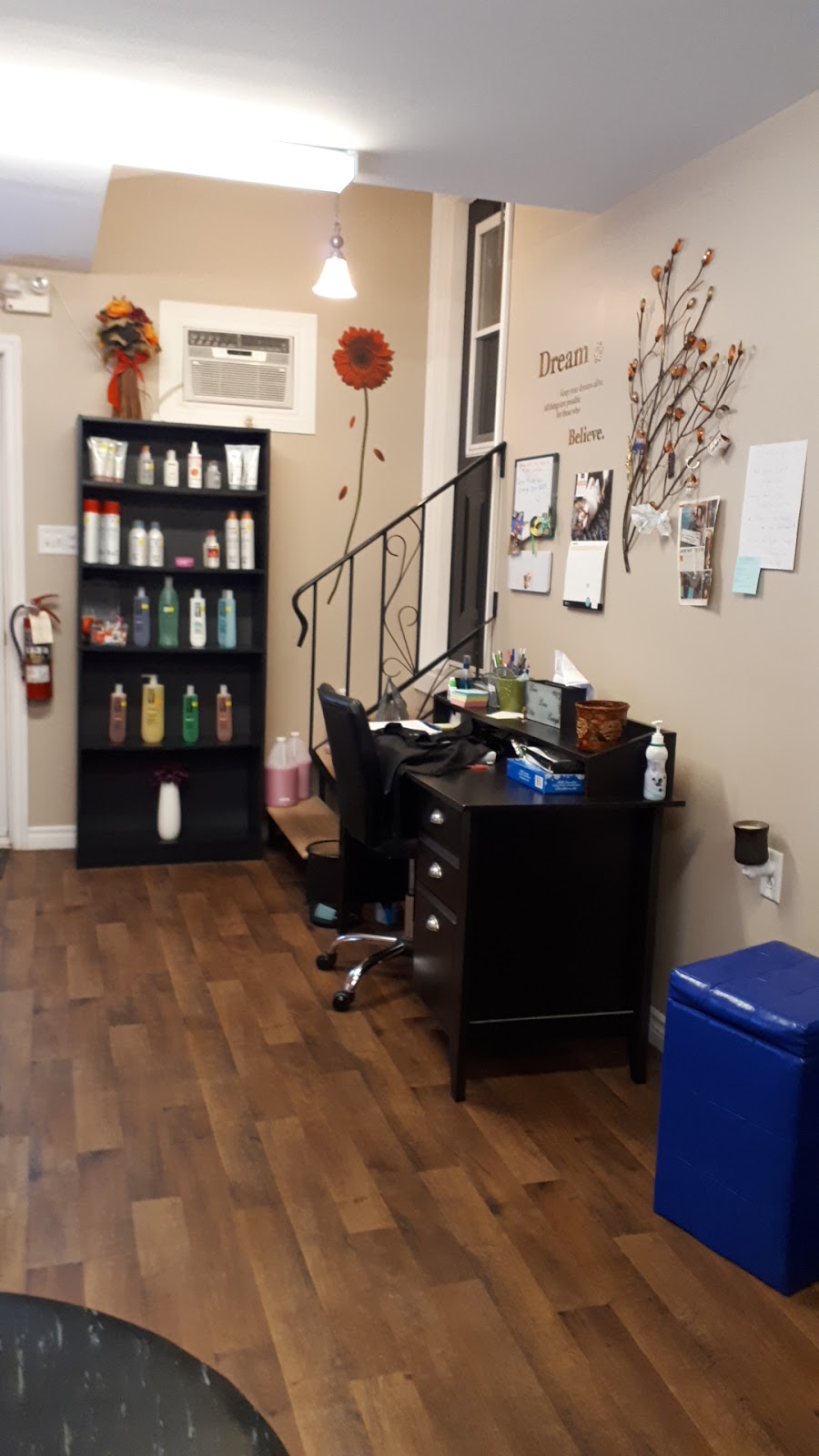 Salon 63 | 63 Scotts Road South, Conception Bay South, NL A1X 6M1, Canada | Phone: (709) 691-1630