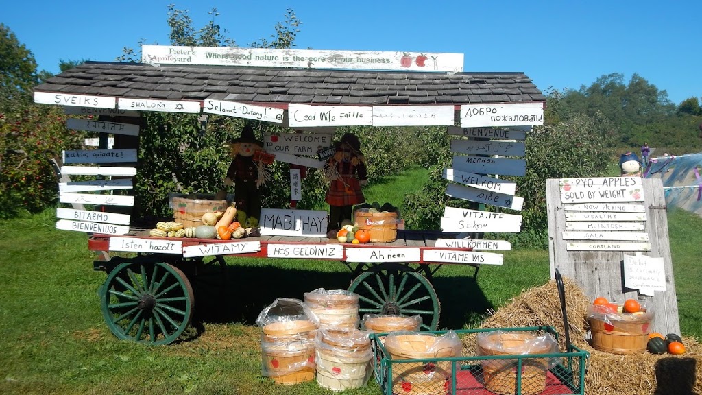 Pieters Appleyard | 13516 County Rd 2 RR 4, Colborne, ON K0K 1S0, Canada | Phone: (905) 355-5725