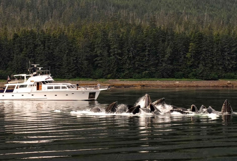 Alaskan Song - Yacht Cruises | 1 Bellwether Way, Bellingham, WA 98225, USA | Phone: (360) 510-2213