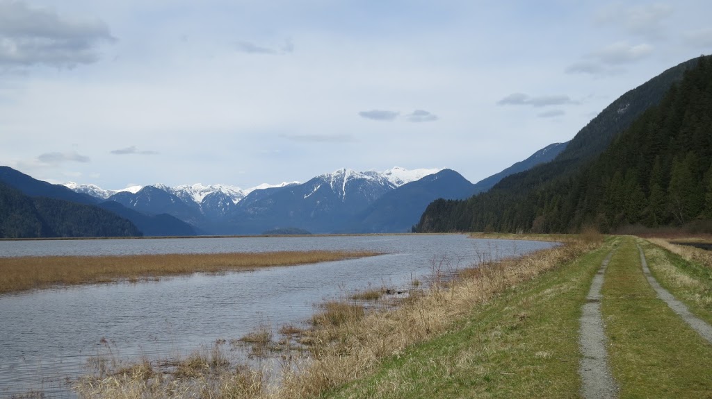 Pitt Polder Ecological Reserve | Pitt Meadows, BC V3Y, Canada
