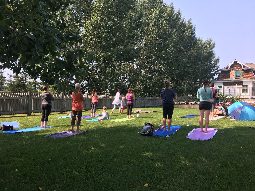 Mystical Stone Yoga Studio and Metaphysics | 5013 48 St #201, Stony Plain, AB T7Z 1L8, Canada | Phone: (780) 591-0044