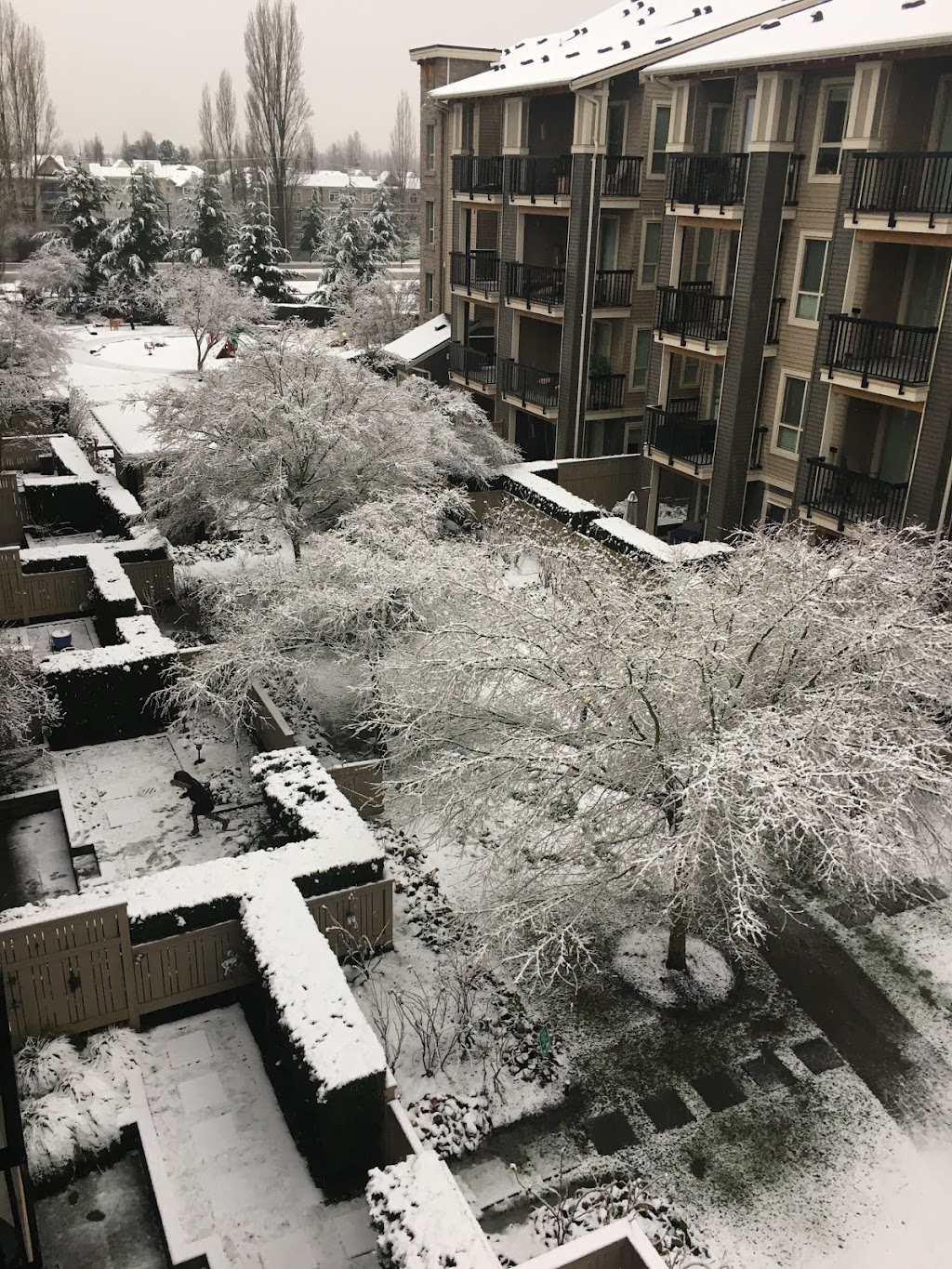 Cornerstone | 5655 210a St #103, Langley, BC V3A 0C9, Canada | Phone: (604) 534-6000