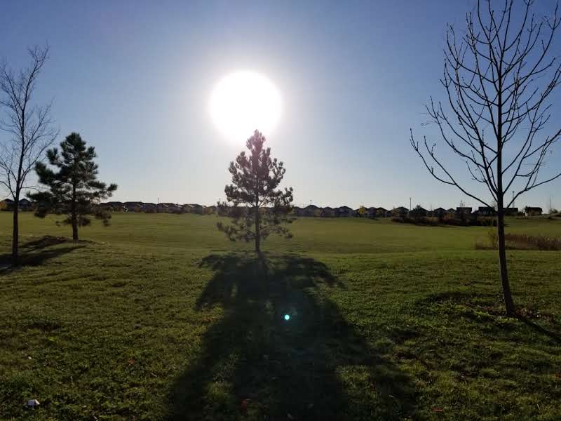 Howard Harding Park | Teal Cres, Saskatoon, SK S7T 0E6, Canada