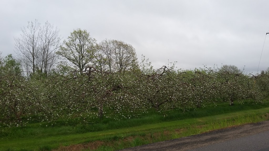 Charlottes Family Orchard | 2287 NB-102, Gagetown, NB E5M 1T5, Canada | Phone: (506) 488-2630
