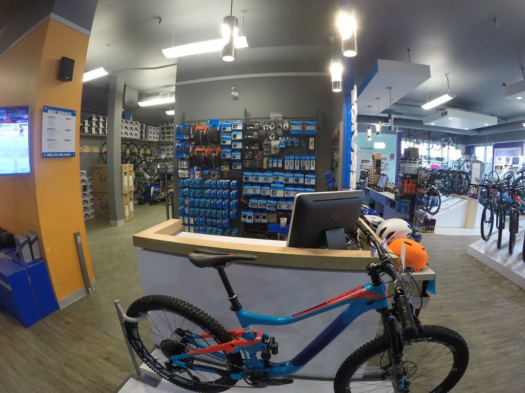 Giant Langley | 20353 64 Ave, Langley City, BC V2Y 1N5, Canada | Phone: (604) 534-3993