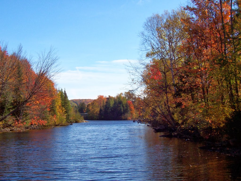 Katrine Marine | 86 Doe Lake Rd, Katrine, ON P0A 1L0, Canada | Phone: (705) 382-3806