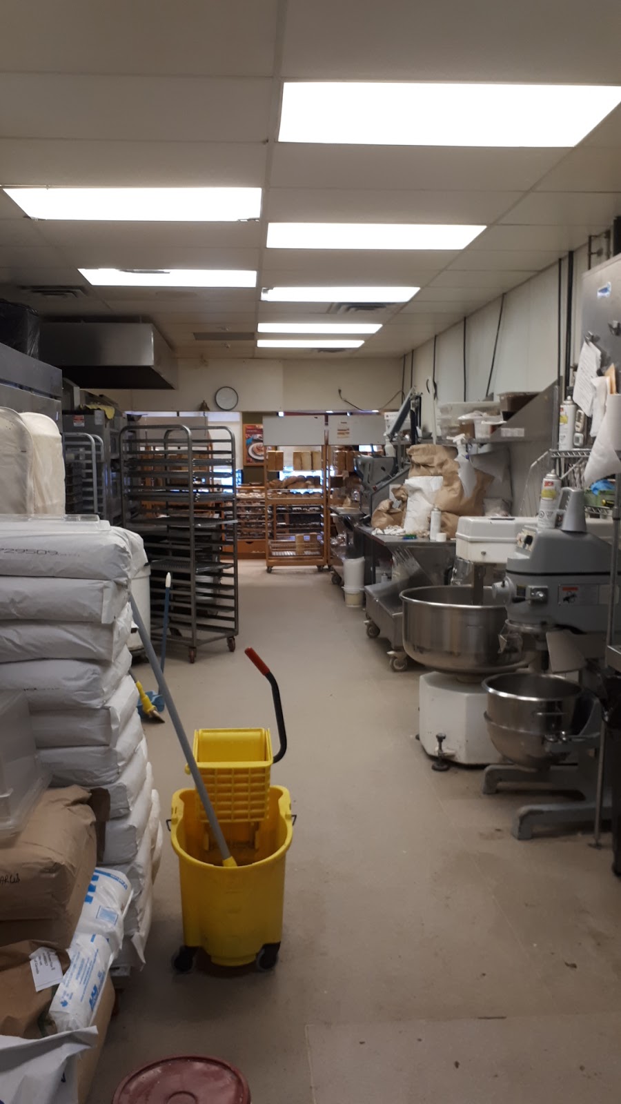 COBS Bread Bakery | Crestwood Shopping Center, 9680 142 St NW, Edmonton, AB T5N 4B2, Canada | Phone: (780) 447-9995