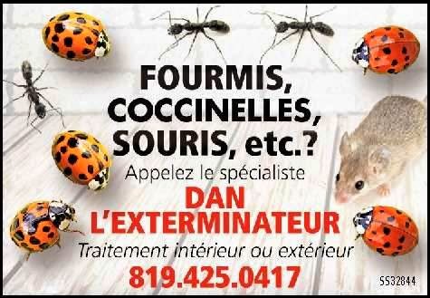 Dan Lexterminateur | 1098 Rue de St Jovite, Mont-Tremblant, QC J8E 3J9, Canada | Phone: (819) 425-0417