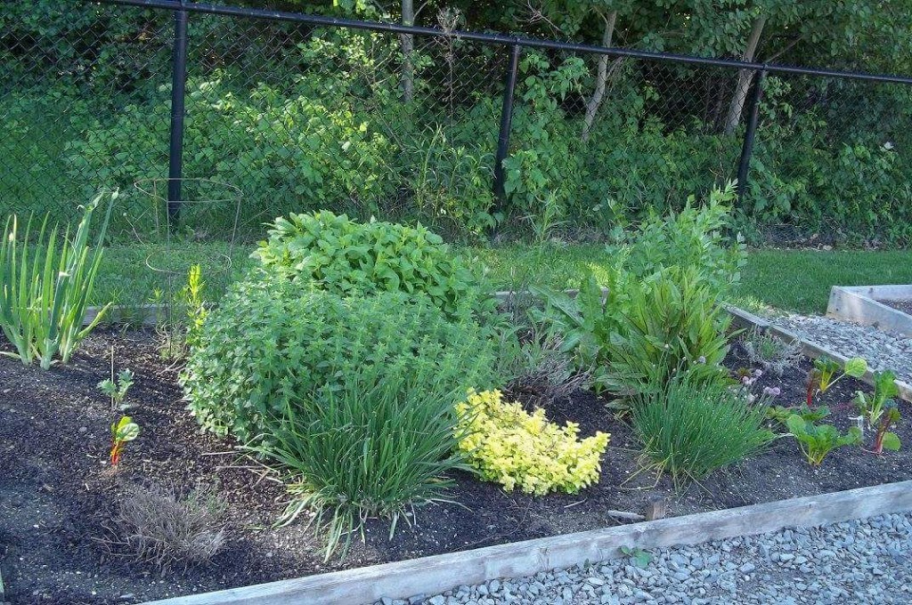 Buisson Garden | 6020 Rue Paul Gury, Québec, QC G1P 1H7, Canada | Phone: (581) 985-0879