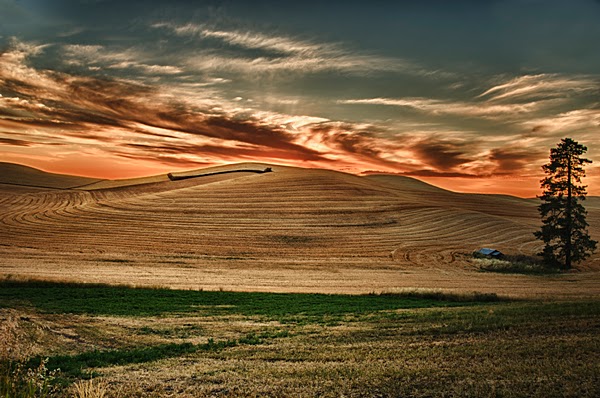 PhotoArt by Tommy | 5767 Silverstar Rd, Bellingham, WA 98226, USA | Phone: (408) 391-0681