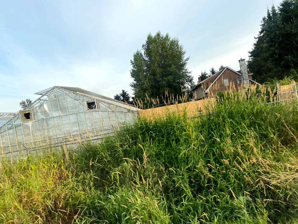 Country Squire Boarding Kennels | 24862 16 Ave, Aldergrove, BC V4W 2R6, Canada | Phone: (604) 856-7387