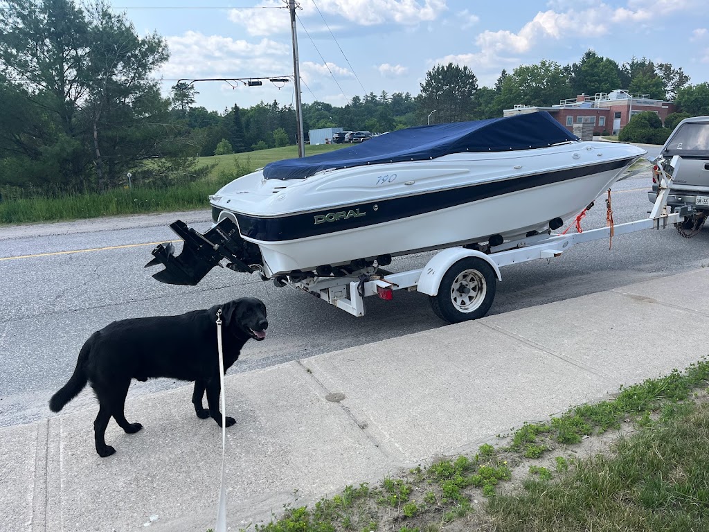 True North Mobile Restoration Detailing Muskoka | 1211 Milford Bay Rd, Bracebridge, ON P1L 1X4, Canada | Phone: (705) 706-3657
