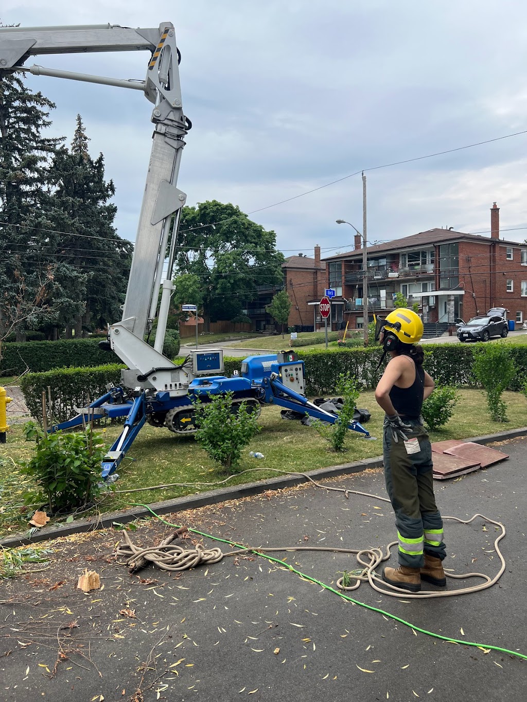 Anderstone Tree Service | 16656 Mississauga Rd, Terra Cotta, ON L7K 1L9, Canada | Phone: (416) 476-4269