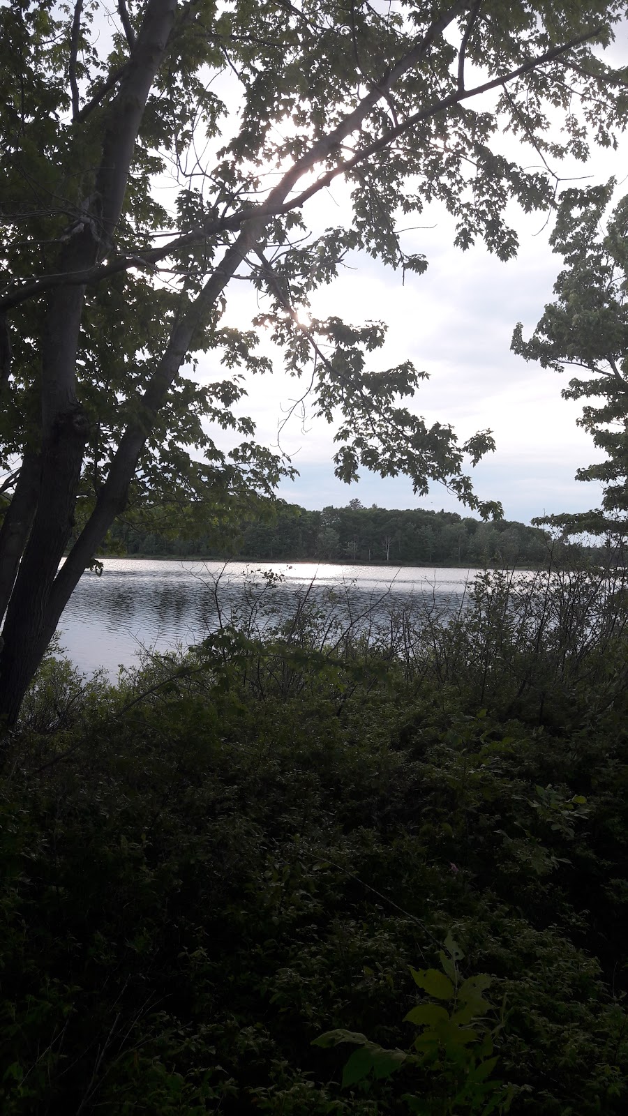 Princess Park | 2448 Route 690, Princess Park, NB E4B 2A5, Canada | Phone: (506) 385-2940