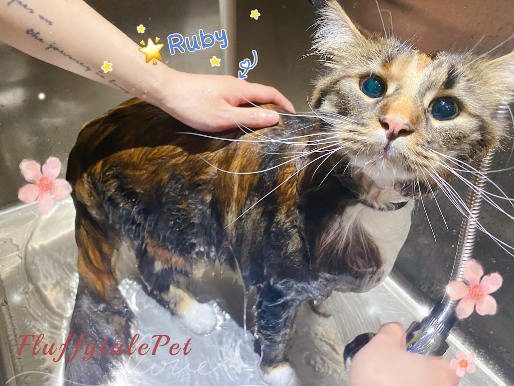 Fluffytale Pet 毛茸茸 | 2 Corby Rd Unit 3, Markham, ON L3R 8A9, Canada | Phone: (437) 345-2083