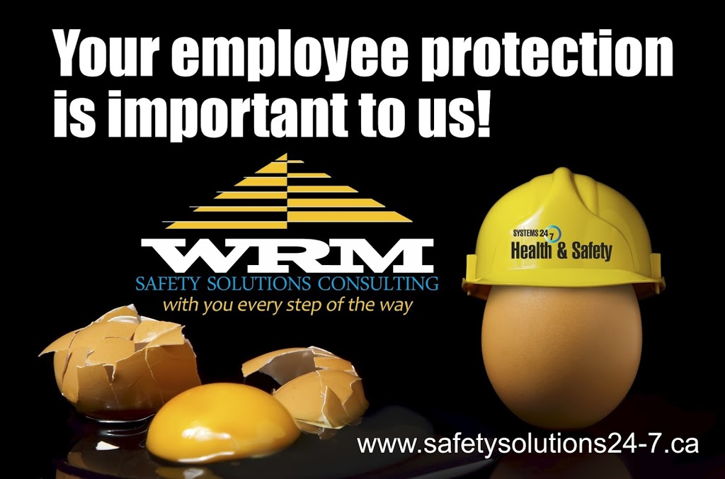WRM Safety Solutions Consulting Inc. | Paris, ON N3L 4E7, Canada | Phone: (866) 291-7644