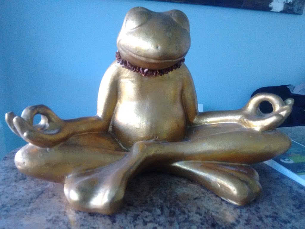 Sadhnaway yoga and meditation centre | 8 Automatic Rd Unit # 2C, Brampton, ON L6S 6K9, Canada | Phone: (905) 595-0658