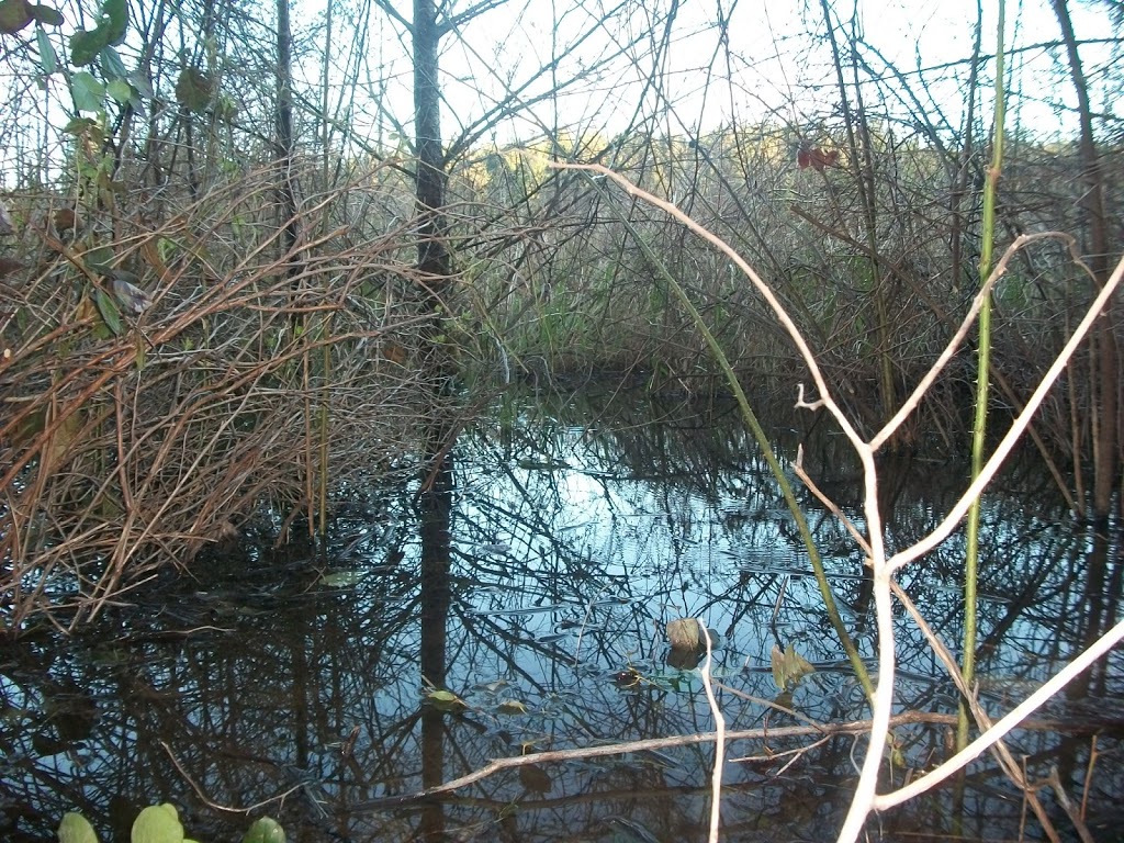 Coats Marsh Regional Park | 908 South Road, Gabriola, BC V0R 1X4, Canada | Phone: (250) 248-3252