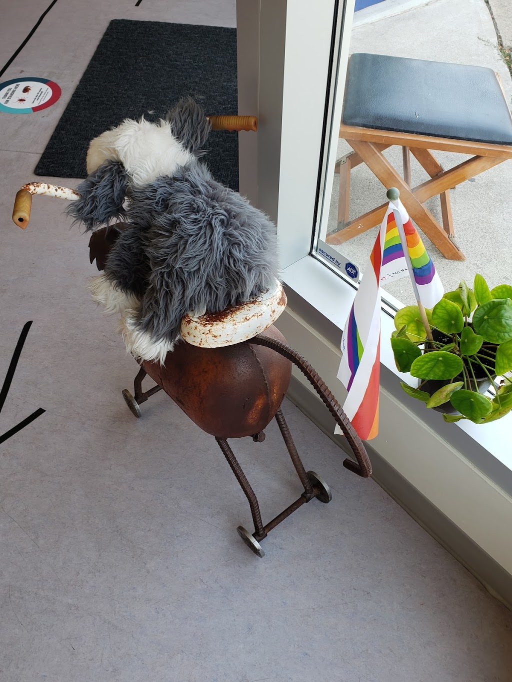 Main Street Veterinary Clinic | 170 Main St, Toronto, ON M4E 2W1, Canada | Phone: (647) 350-6246