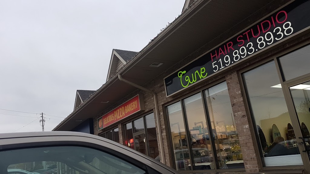 Delicious Pizza | 900 Fairway Crescent, Kitchener, ON N2A 4B3, Canada | Phone: (519) 896-8896