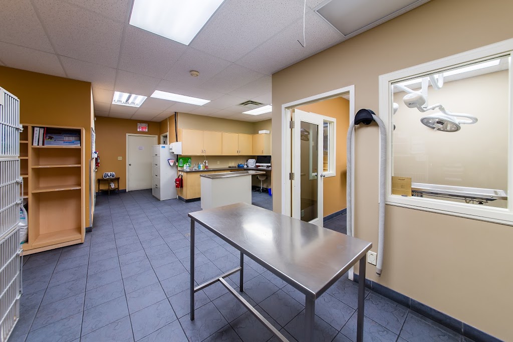 Lockerby Animal Hospital | 2178 Armstrong St, Sudbury, ON P3E 5G9, Canada | Phone: (705) 522-4555