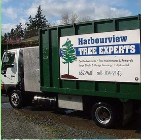 Harbourview Tree Experts | 6674 Rey Rd, Victoria, BC V8Y 1V2, Canada | Phone: (250) 704-9143