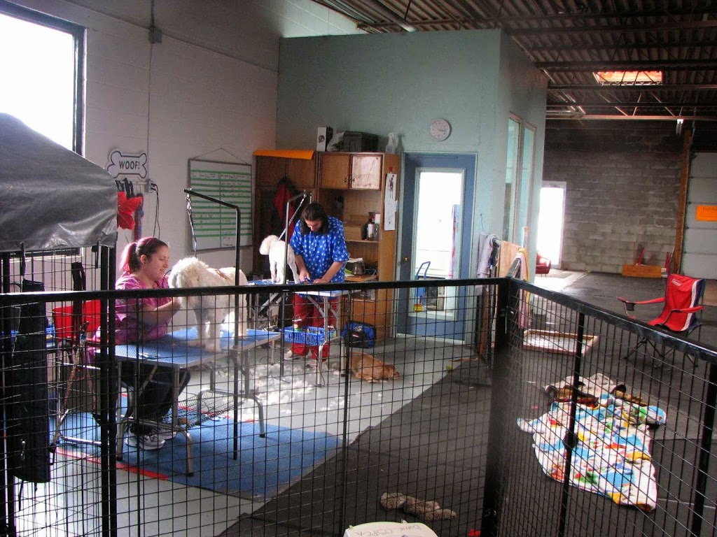 Essa Valley Feedn Pet Center | 4919 County Rd 90, Barrie, ON L4M 4S4, Canada | Phone: (705) 720-2844