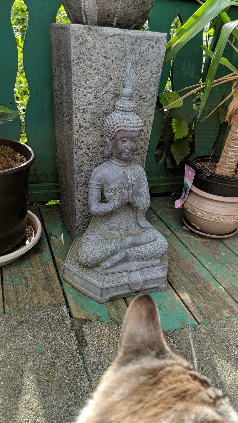 Being Bliss Healing Therapy | 6815 Evans Rd, Chilliwack, BC V2R 4B9, Canada | Phone: (604) 819-6555