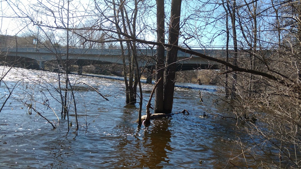 A Y Jackson Park | 1102 Bridge St, Manotick, ON K4M 1J2, Canada