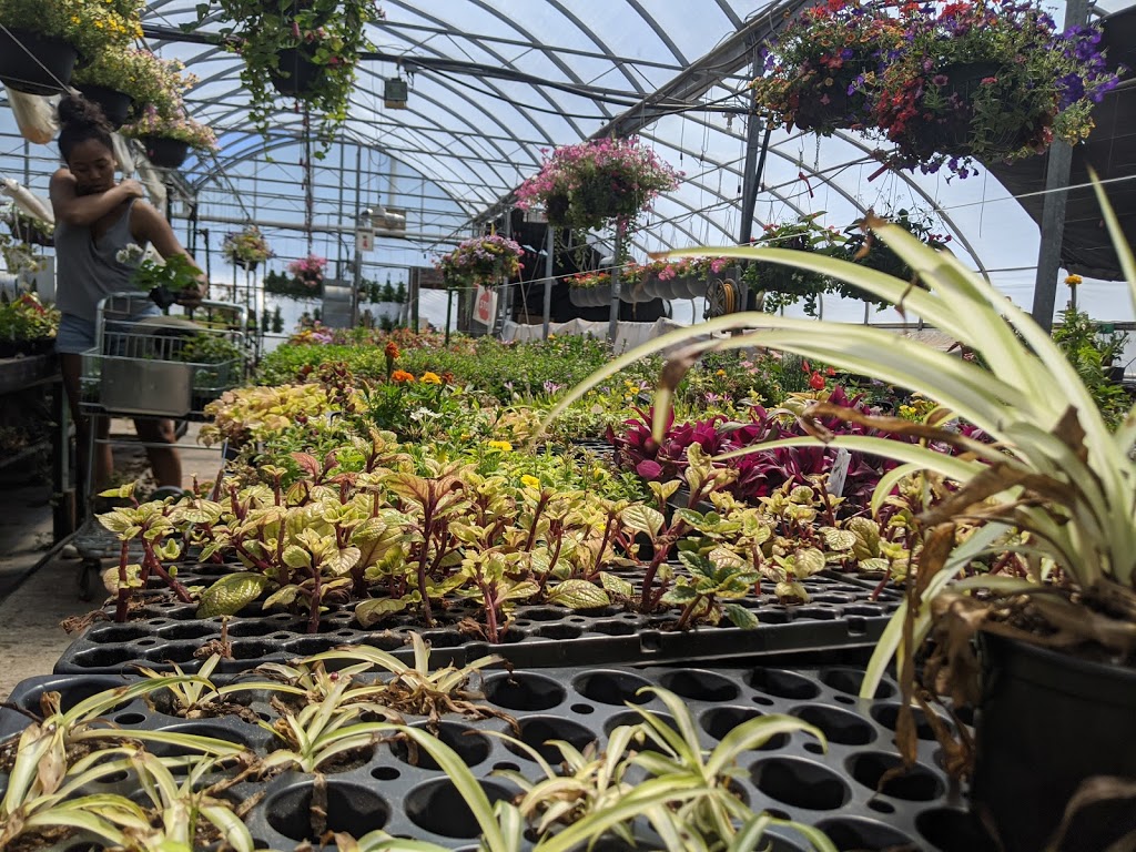 Stonepath Greenhouses | 1142 Quin Mo Lac Rd, Tweed, ON K0K 3J0, Canada | Phone: (613) 478-1675