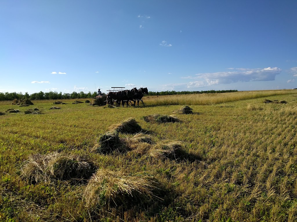 Motherwell Homestead National Historic Site | Highway #22, Abernethy, SK S0A 0A0, Canada | Phone: (306) 333-2116