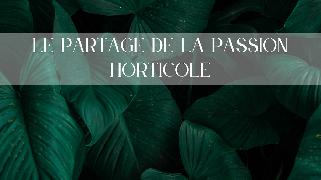 Plantes et créations C&A | 350 Rue Principale #4, Eastman, QC J0E 1P0, Canada | Phone: (418) 922-0413