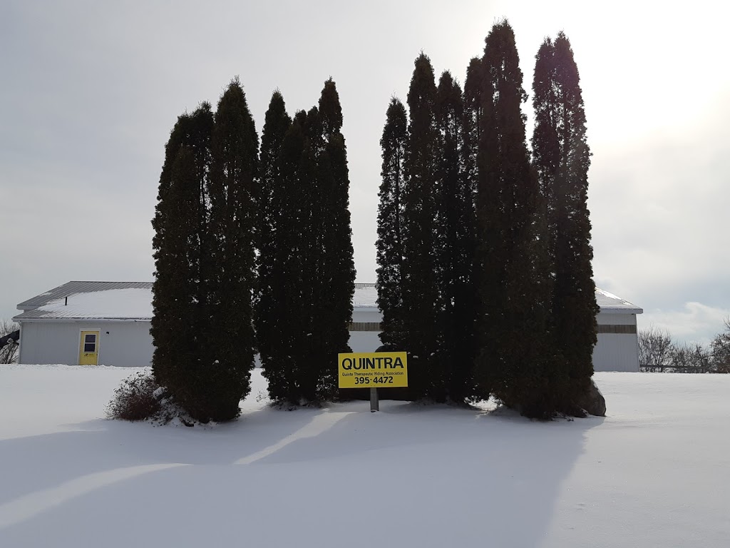 Quinte Therapeutic Riding Association | 173 McGee Rd #2, Stirling, ON K0K 3E0, Canada | Phone: (613) 395-4472