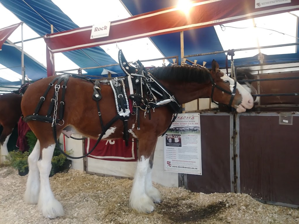 Rockton Worlds Fairground | 812 Old Hwy 8, Rockton, ON L0R 1X0, Canada | Phone: (519) 647-2502
