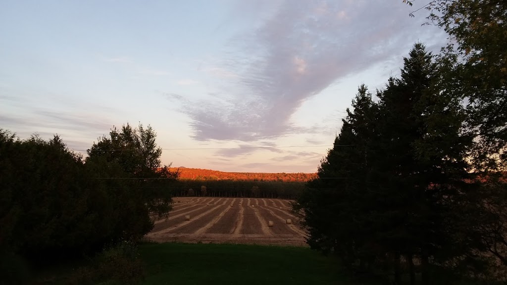 Auberge des trois érables | 192 Chemin des Érables, Saint-Armand, QC J0J 1T0, Canada | Phone: (450) 248-3715
