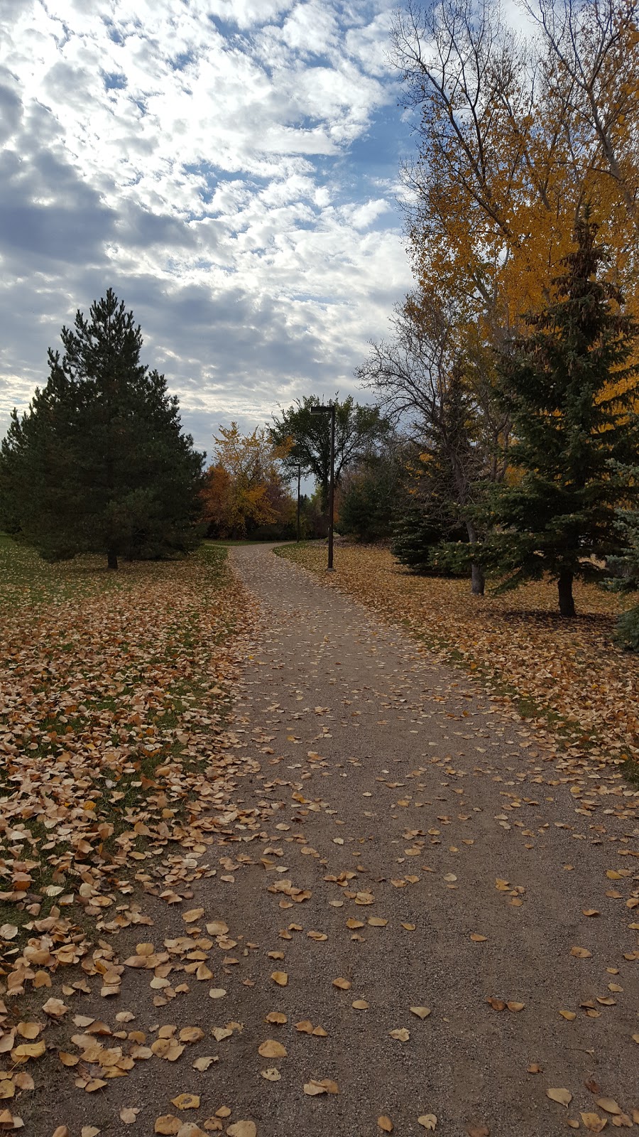 Sidney L. Buckwold Park | Boychuk Dr, Saskatoon, SK S7H 4H6, Canada