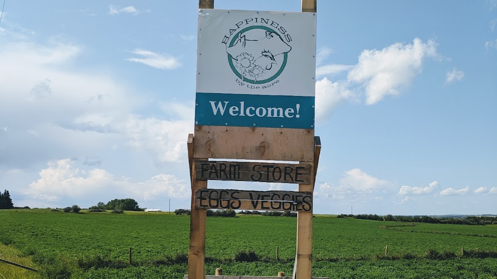 Happiness By The Acre | 2168 TWP 304, Didsbury, AB T0M 0W0, Canada | Phone: (403) 796-8293