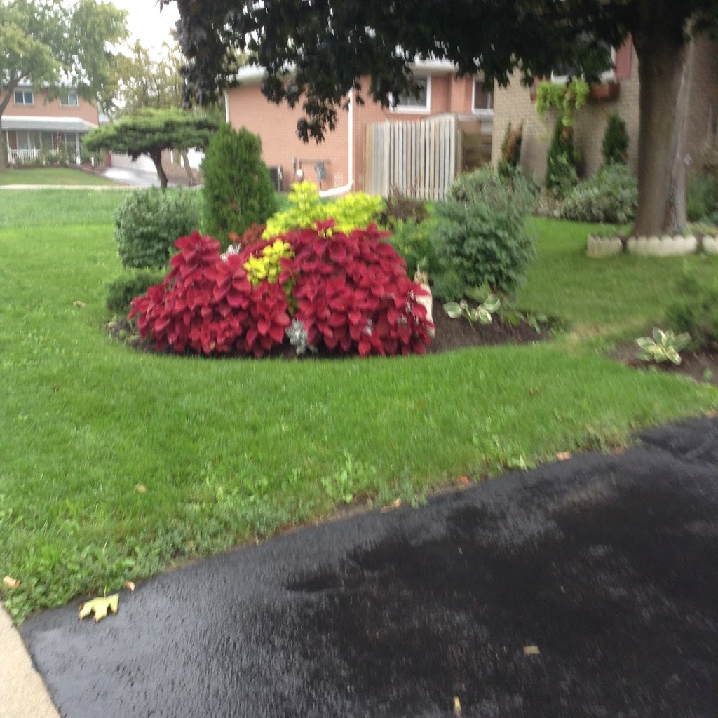 Red Maple Assistive Living | 25 Windermere Ct, Brampton, ON L6X 2L5, Canada | Phone: (416) 528-8484